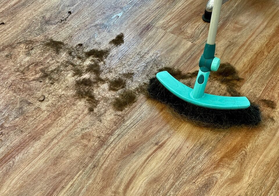 Bayerische Friseure begrüßen das Verlängern der Wirtschaftshilfe
